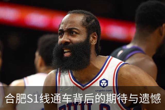 合肥S1线通车背后的期待与遗憾