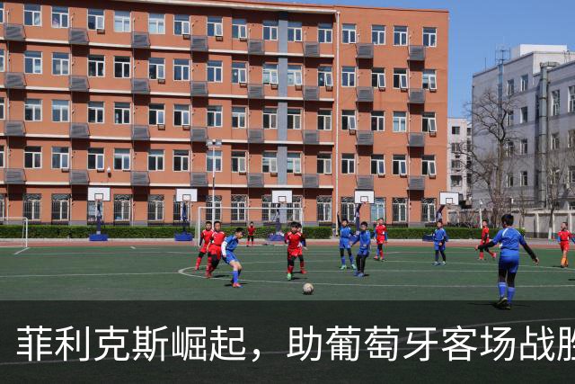 菲利克斯崛起，助葡萄牙客场战胜挪威，C罗可安心退居二线