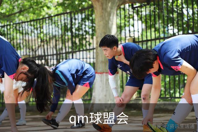 qm球盟会公司简介图片
